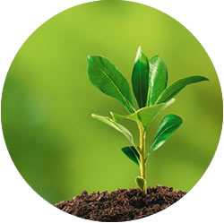 fertilizantes atequimicos